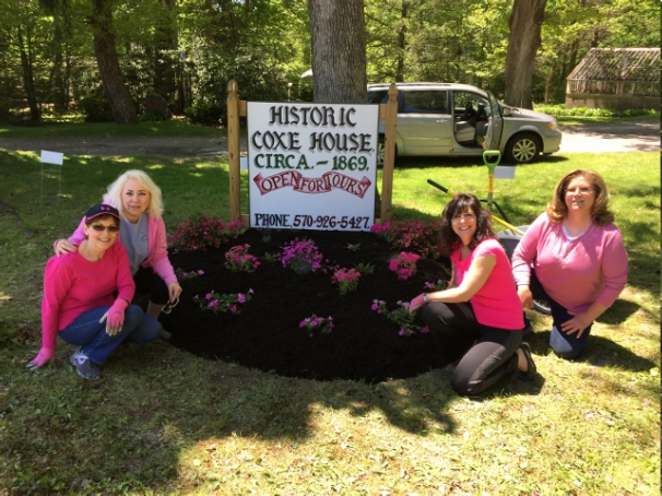 “Plant It Pink” Project